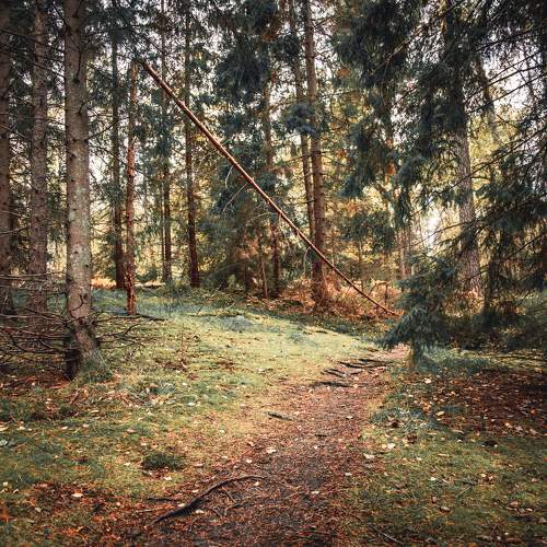 Photo #10444169