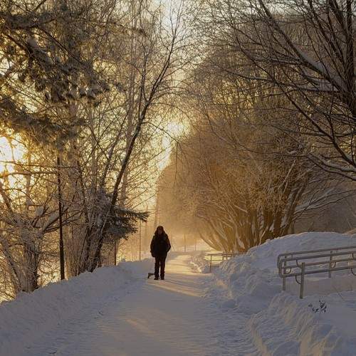 Photo #10444279