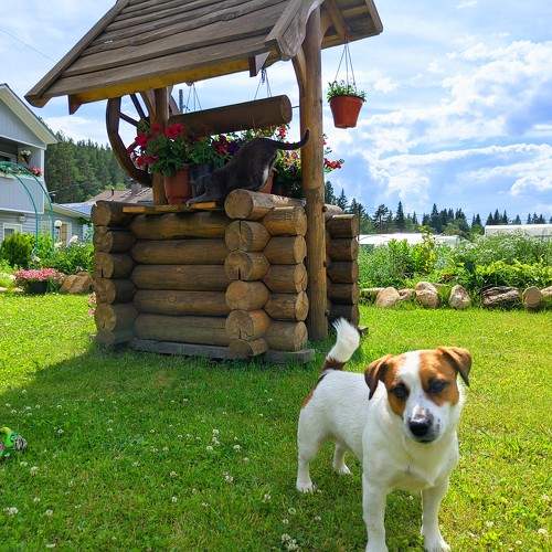 Photo #10444280
