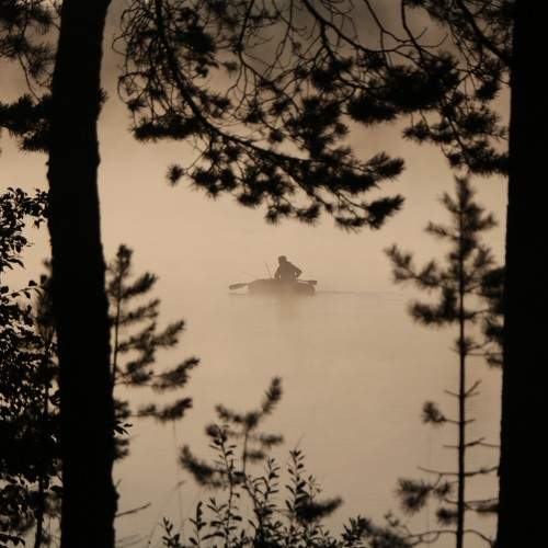 Photo #10444283