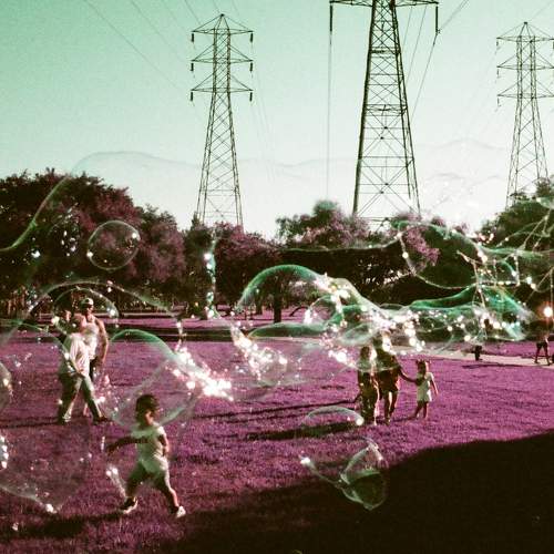 Photo #10444848