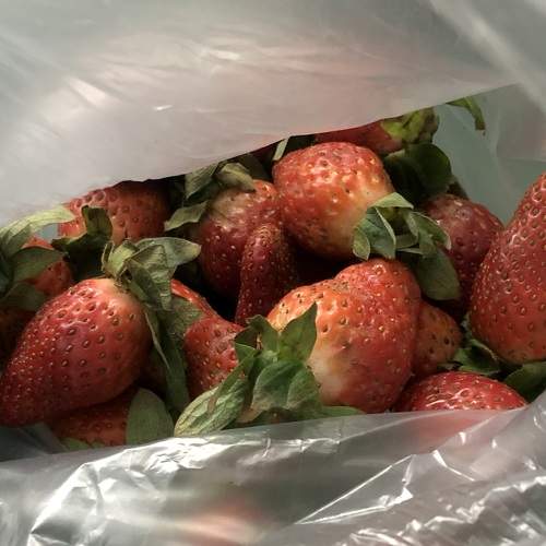 Strawberries