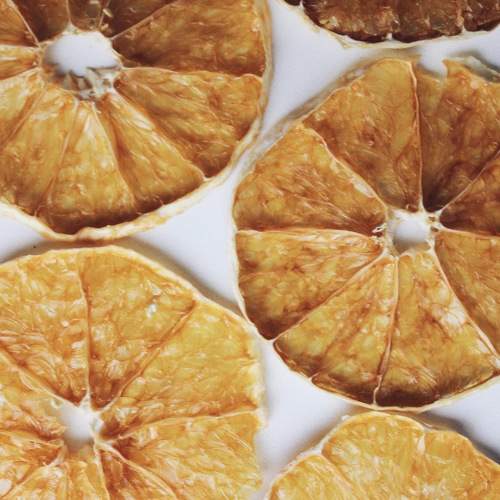 Photo #10445133