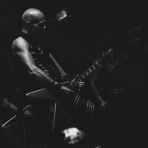 Photo #10445174