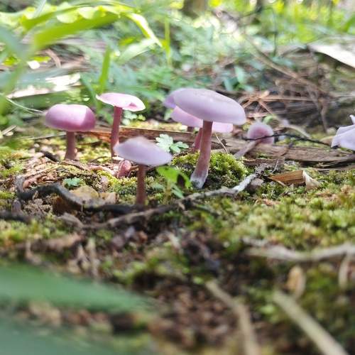 Photo #10445183