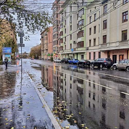 Photo #10445952