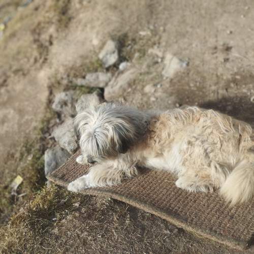 Photo #10446574