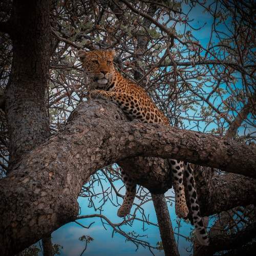 Photo #10446933