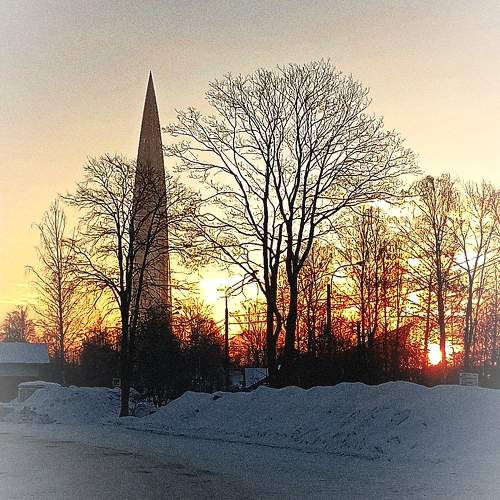 Photo #10447173