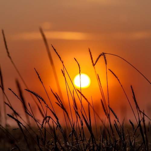 Photo #10447240