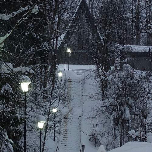 Photo #10447364