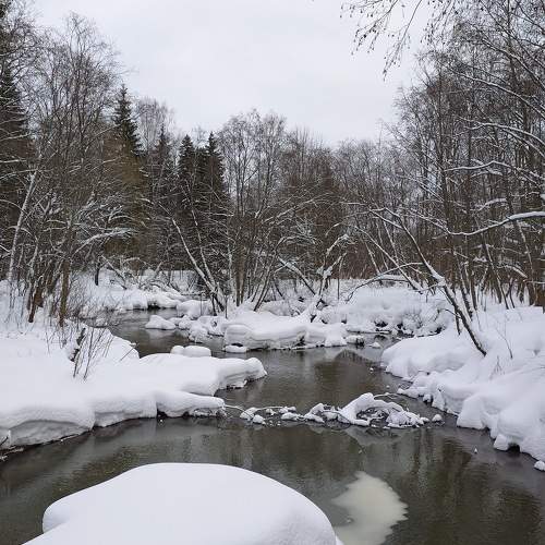 Photo #10447400