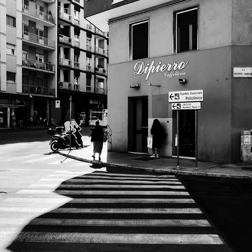 Photo #10447662