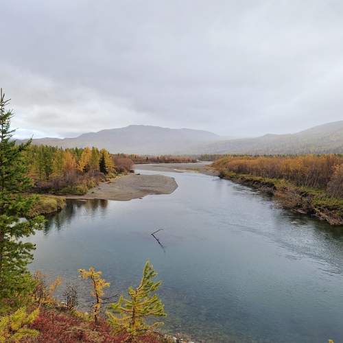 Photo #10447665