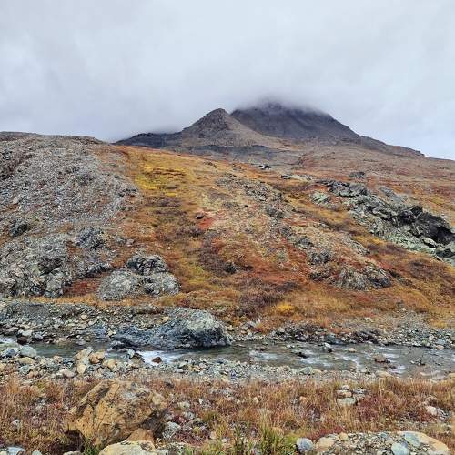Photo #10447671