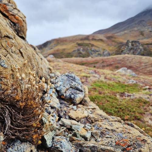 Photo #10447673