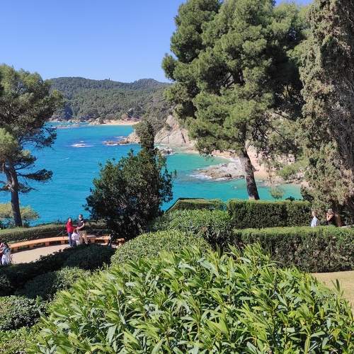 Photo #10447710