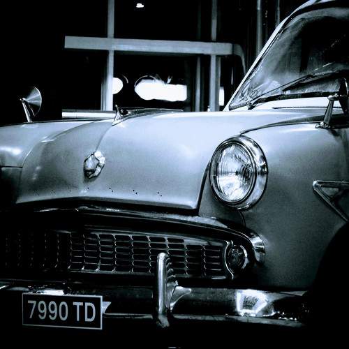 Photo #10447737