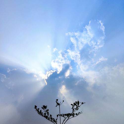 Photo #10448603