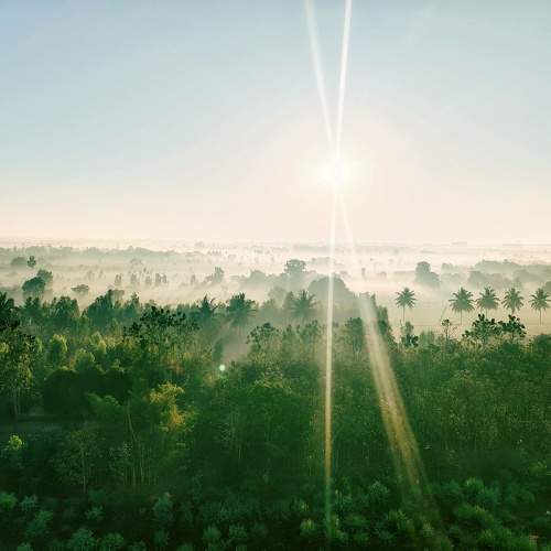 Photo #10449173