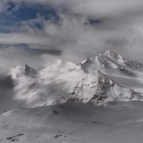 Photo #10449202