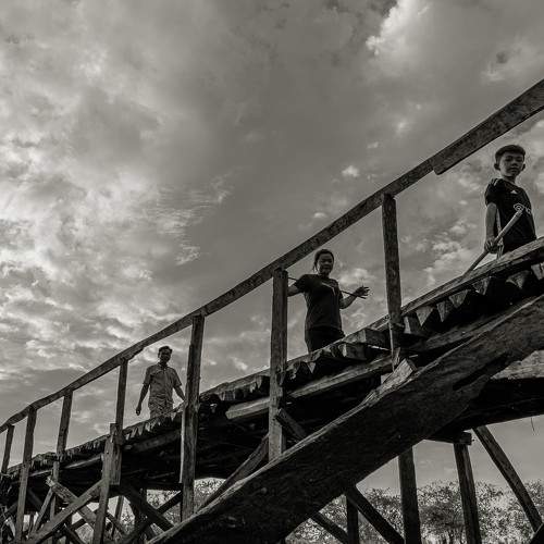 Photo #10449430