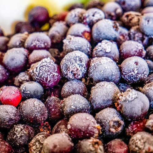 Photo #10449569