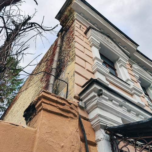 Photo #10449608