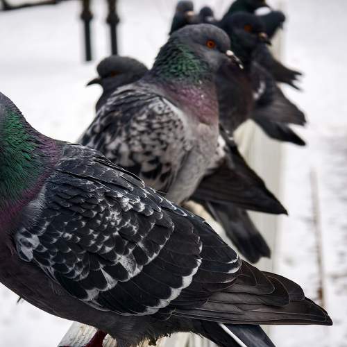 Photo #10449691