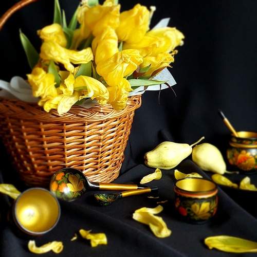 Photo #10449873