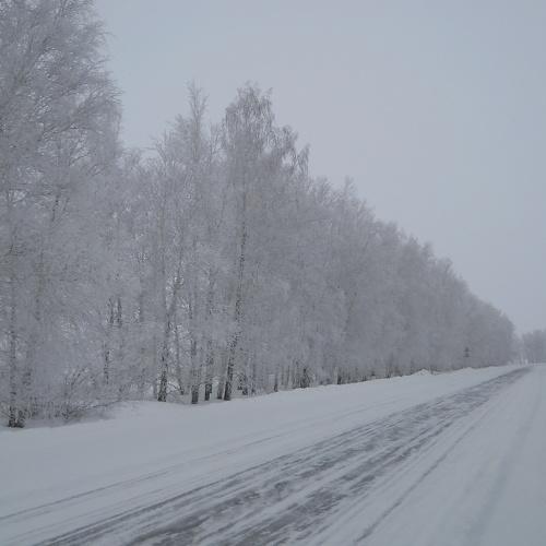 Photo #1045210