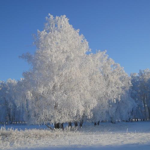 Photo #1046168