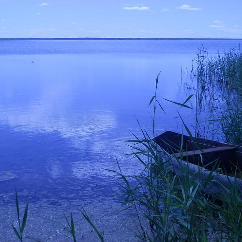 Photo #1046363