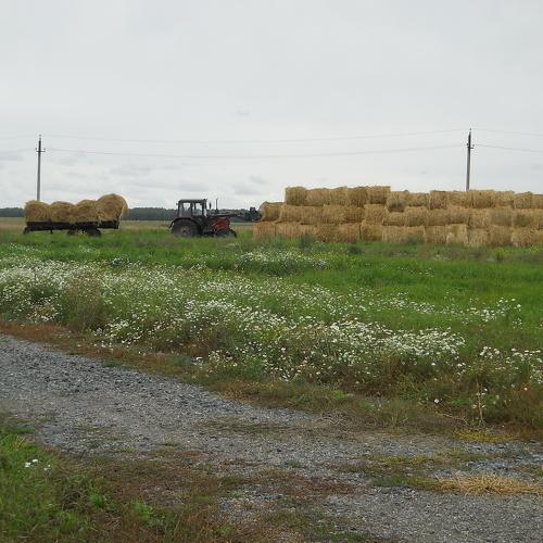 Photo #1046383