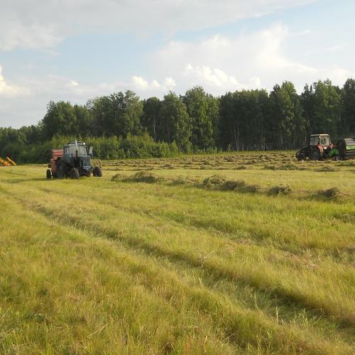 Photo #1046394