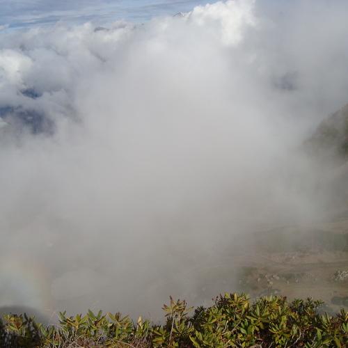 Photo #1046604