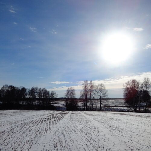 Photo #1047281