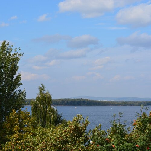 Photo #1049749