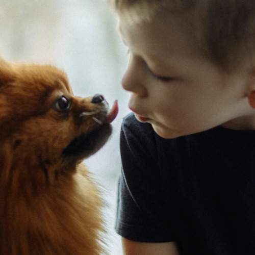 Photo #10450025
