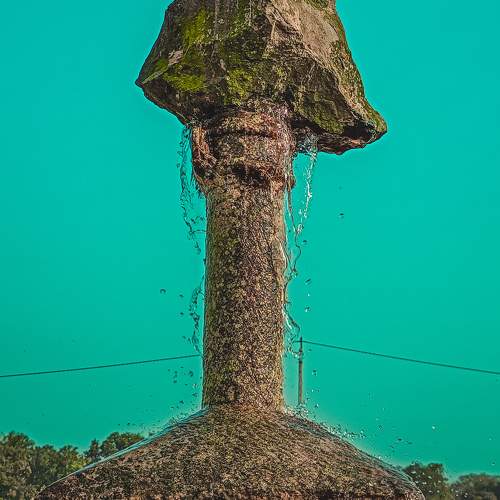 Photo #10450199