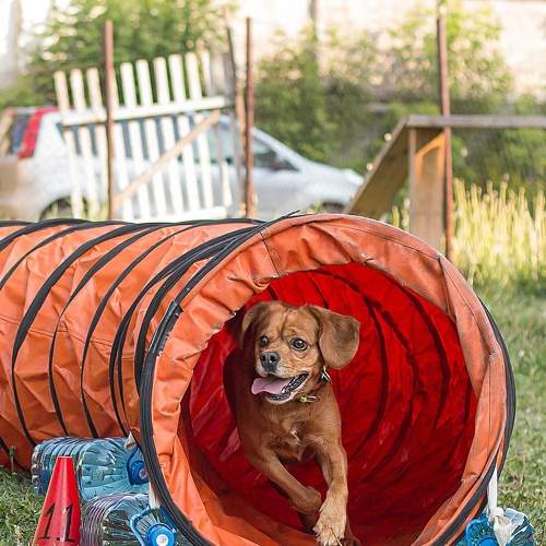 Photo #10450400