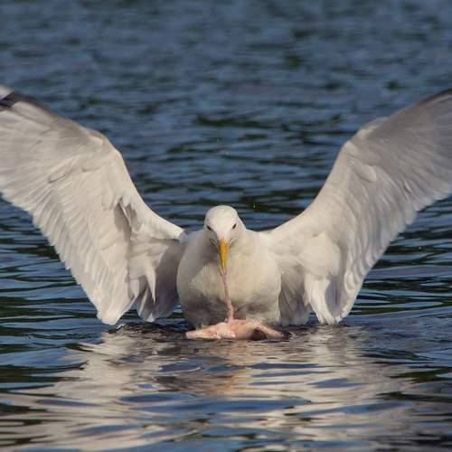 Photo #10450424