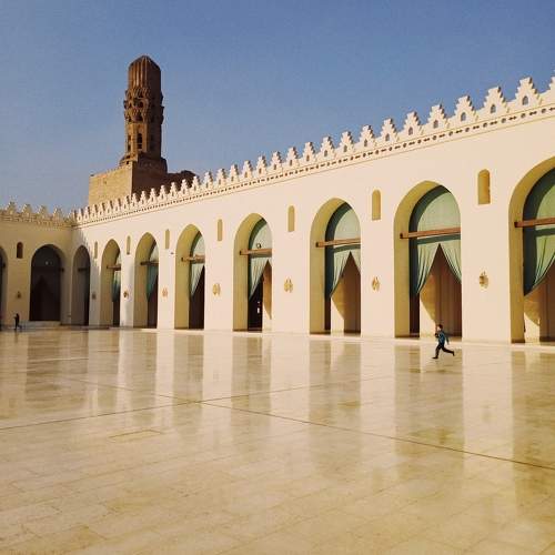 Photo #10450887