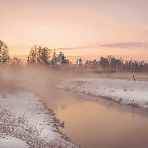 Photo #10450929
