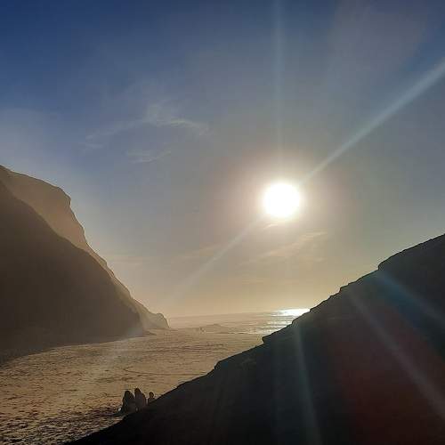 Photo #10451012