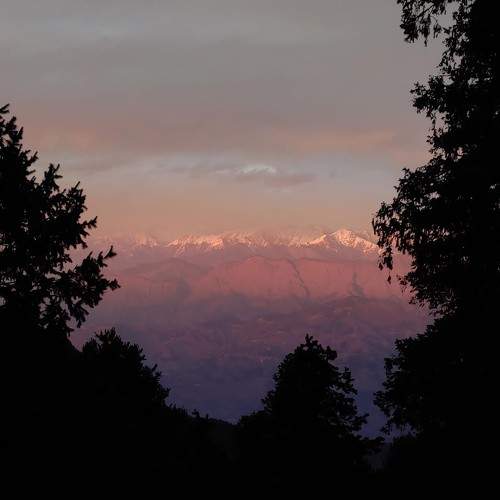 Photo #10451075