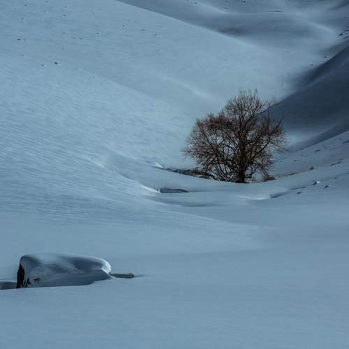 Photo #10451230