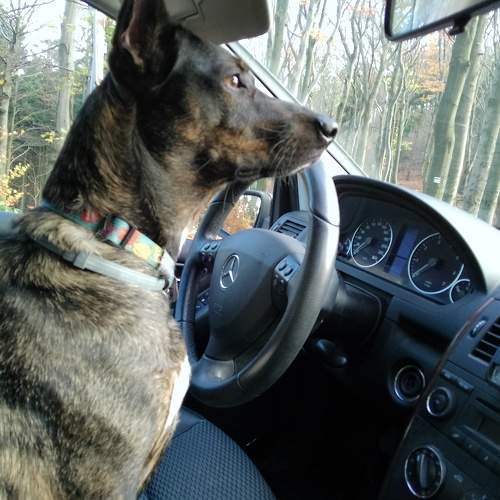 Photo #10451476