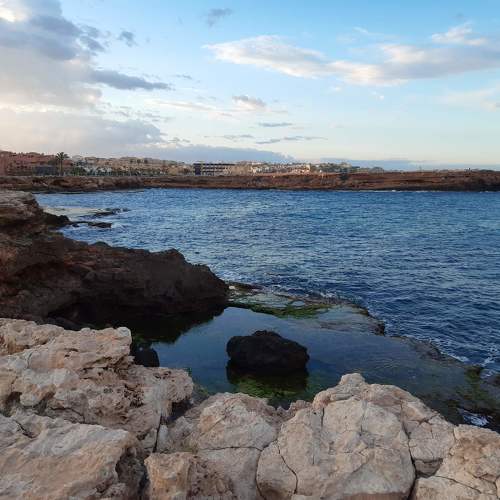 Photo #10451477