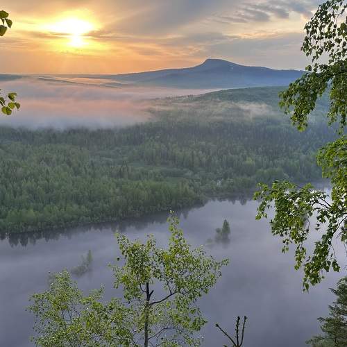 Photo #10452410